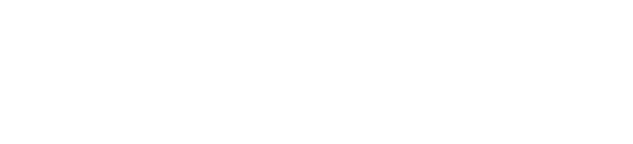 VIKI Brain Box Smart Home